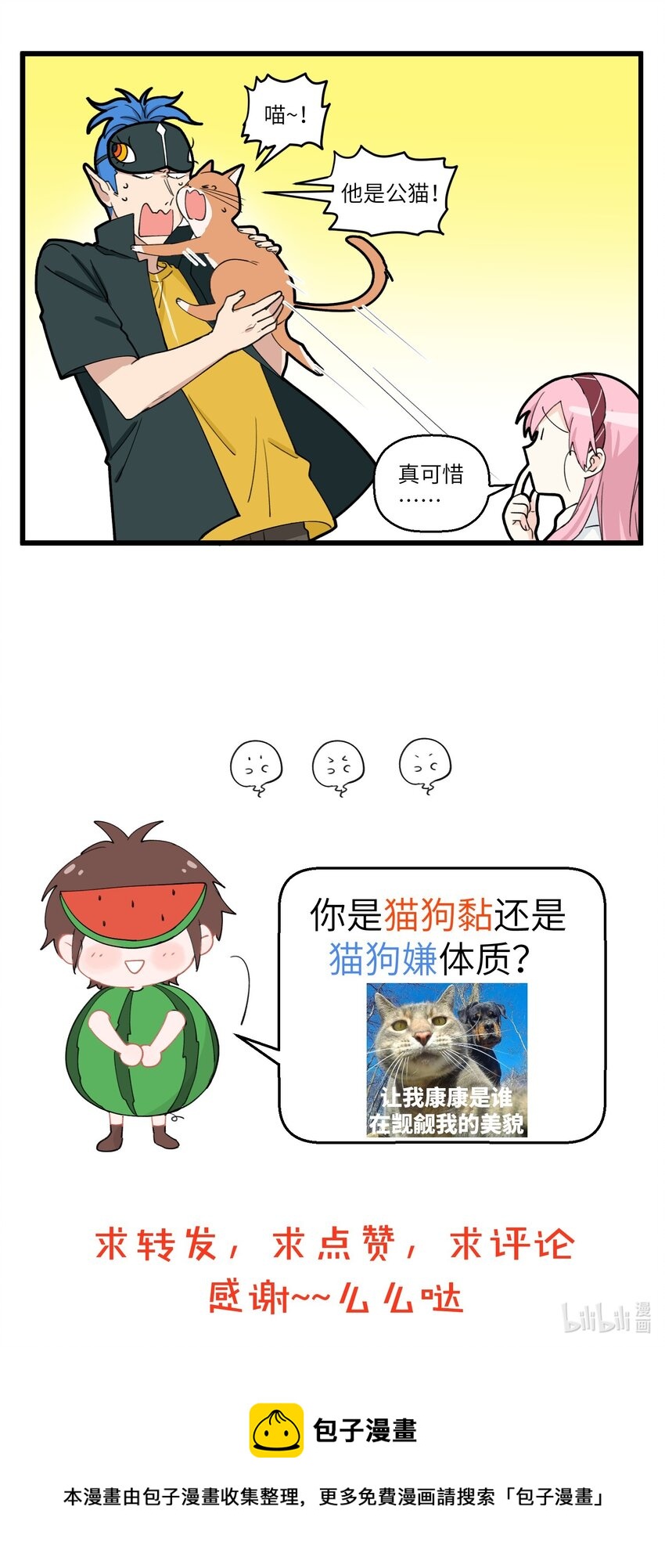 063 野猫太粘人了怎么办？-第63话