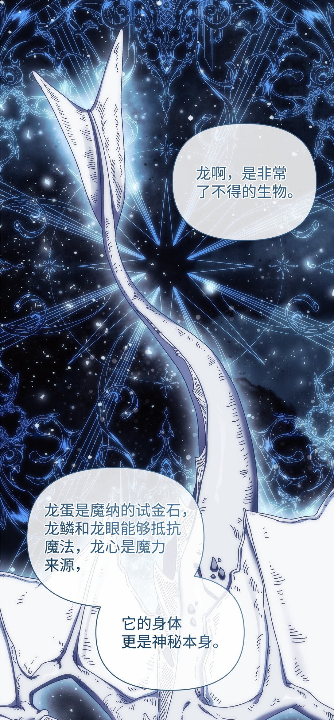 37 魔法核(1/2)-第37话