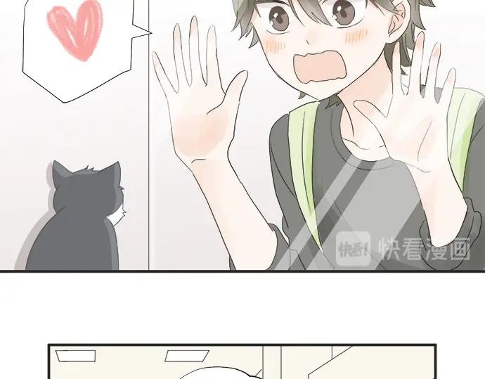 第9话 宠物店(1/3)-第9话