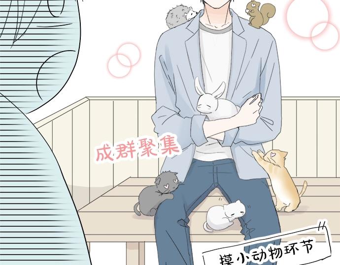 第9话 宠物店(1/3)-第9话