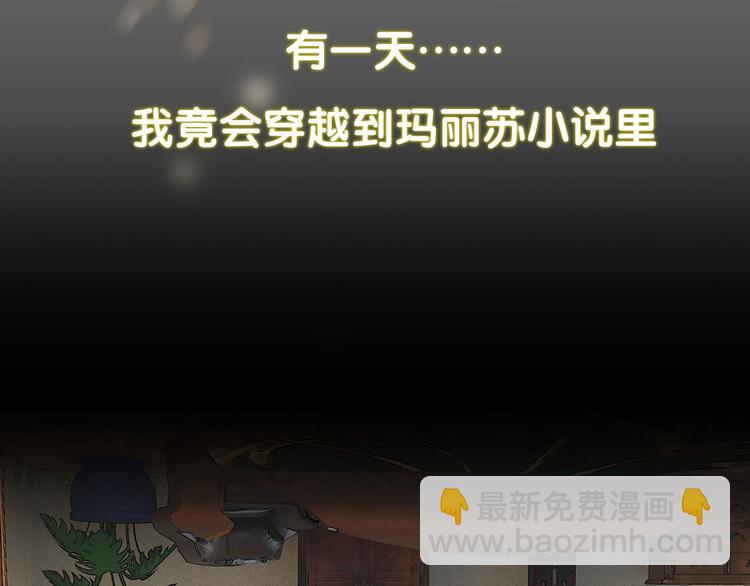 🍵不要小看女配角！ 序章 华丽女配爆笑来袭 第8页