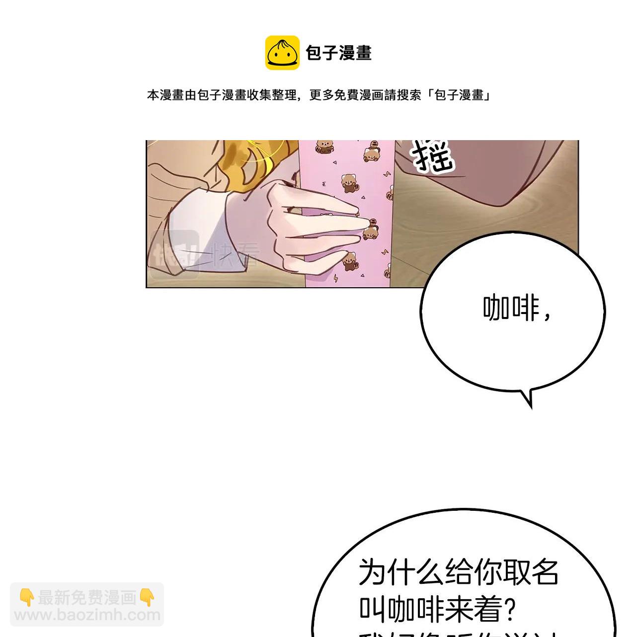 🍵不要小看女配角！ 番外31 网络小说之花1 第21页