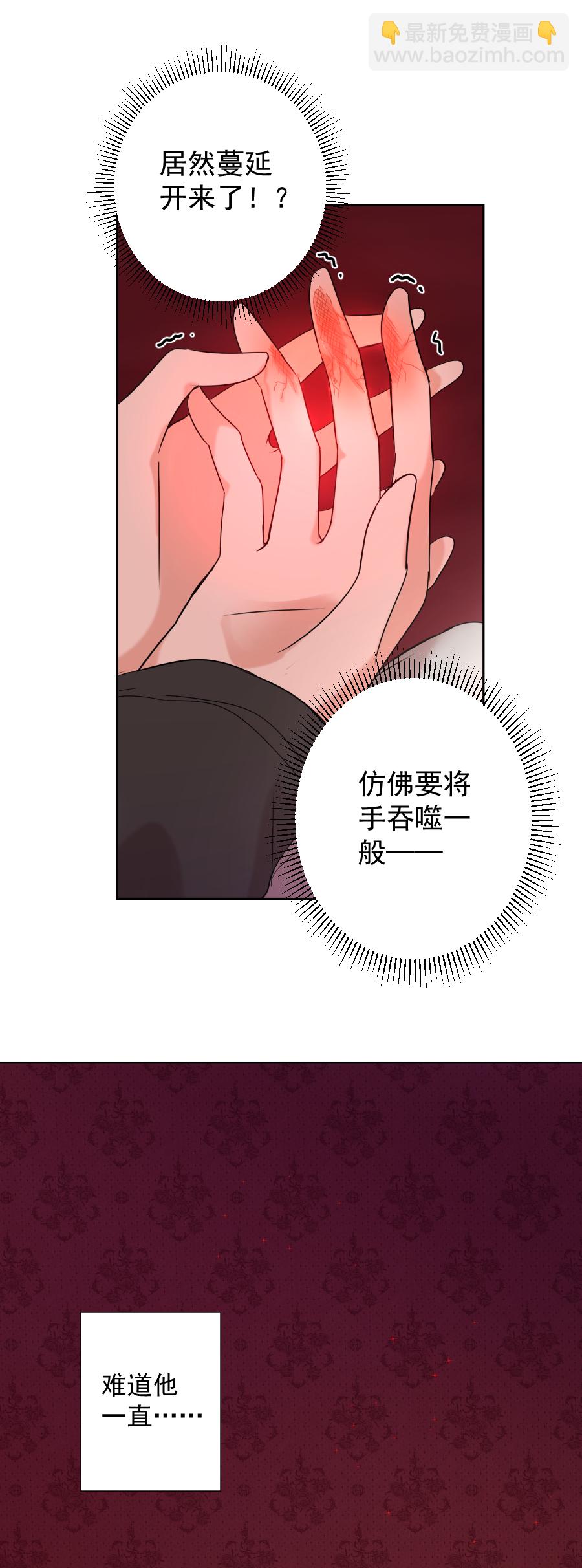 第13话 诅咒-第13话