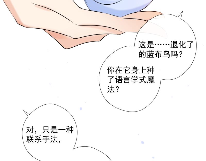 第40话 偷偷调查(1/4)-第39话