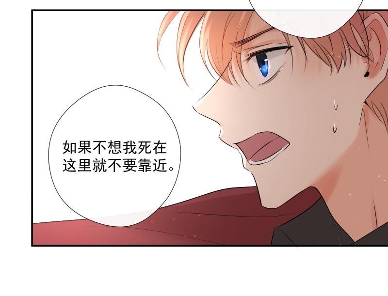 第42话 发现（中）(1/4)-第41话