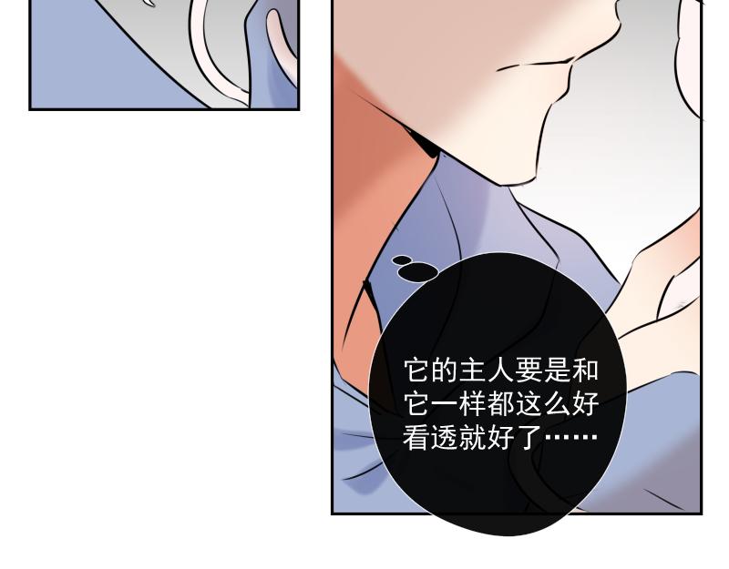 第44话 准备(1/3)-第43话
