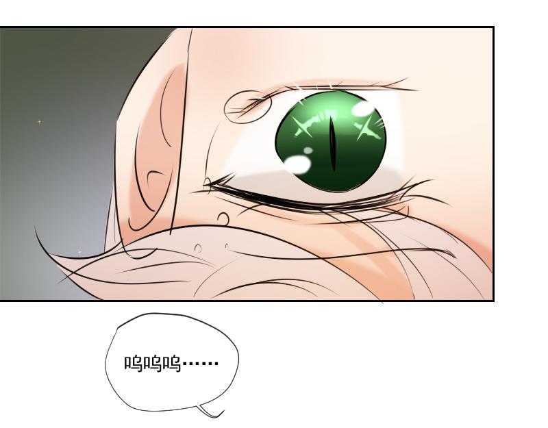 第54话 片段(1/4)-第53话