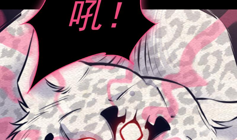 第147话 豹子&ldquo;花花&rdquo;(1/2)-第147话