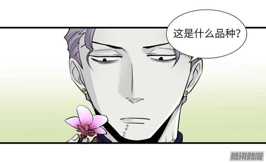 第四十七回-第47话