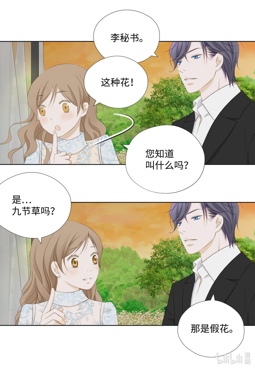101 求婚-第101话