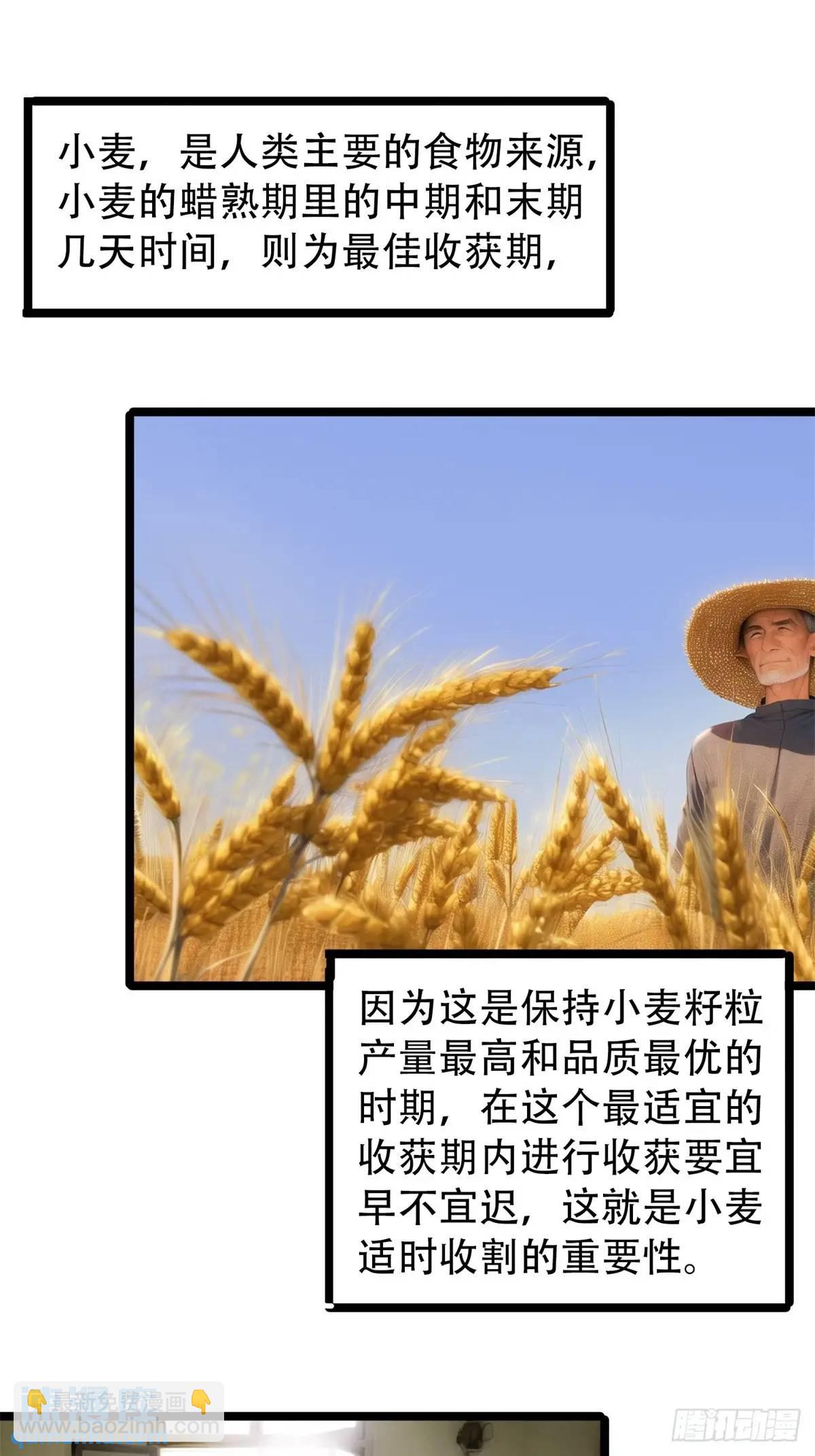 第三季 蒸馒头-第369话