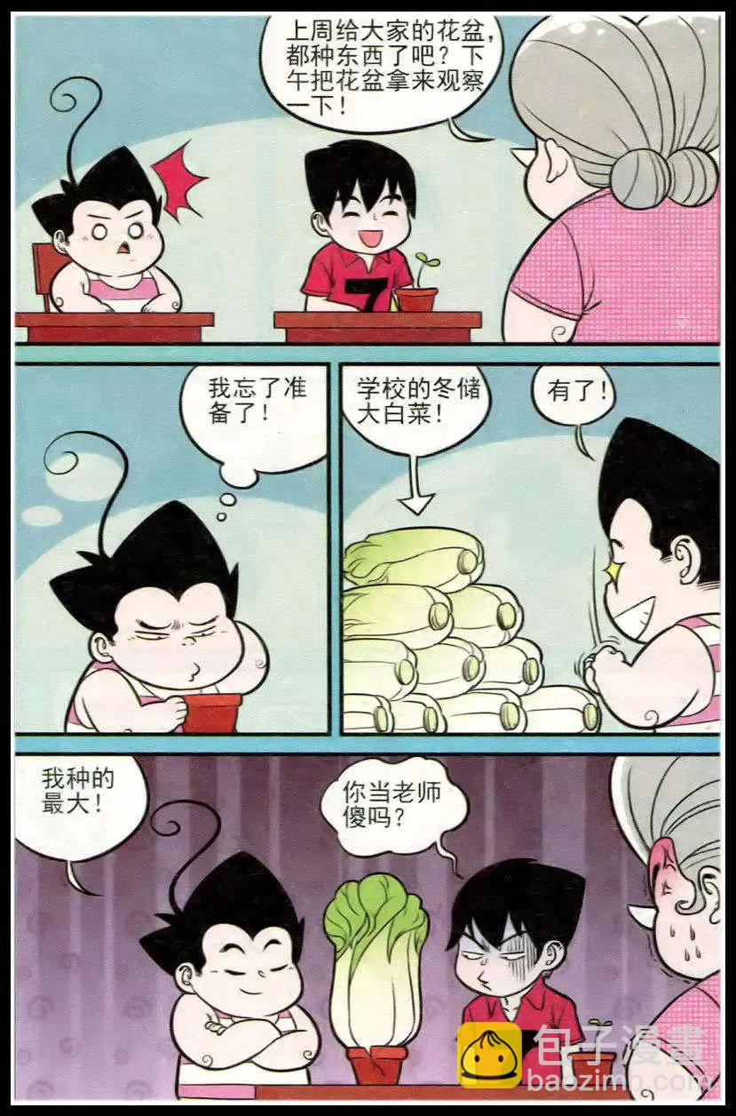 第213期-第37话