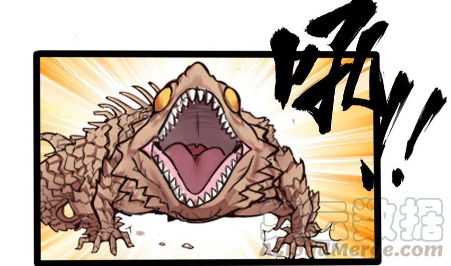 第144话 杜鹏的计划-第145话