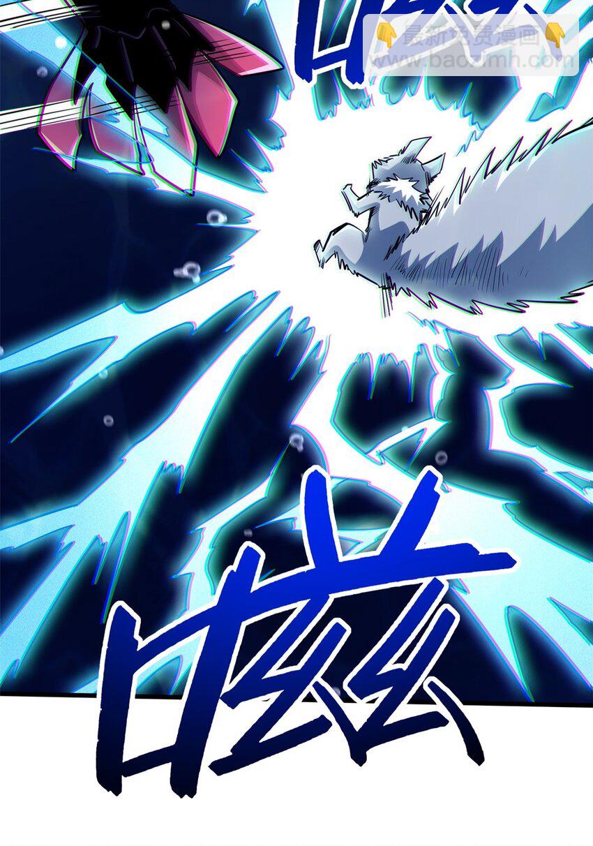 212 刺杀孔雀(1/2)-第213话