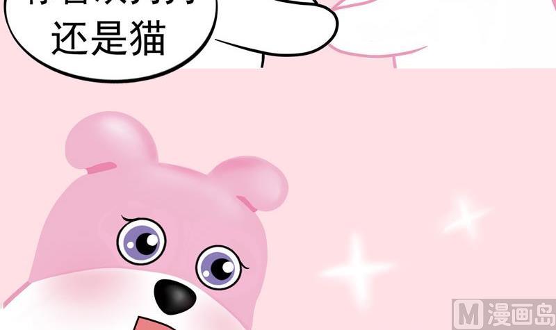你喜欢猫咪还是狗狗呢-第1话