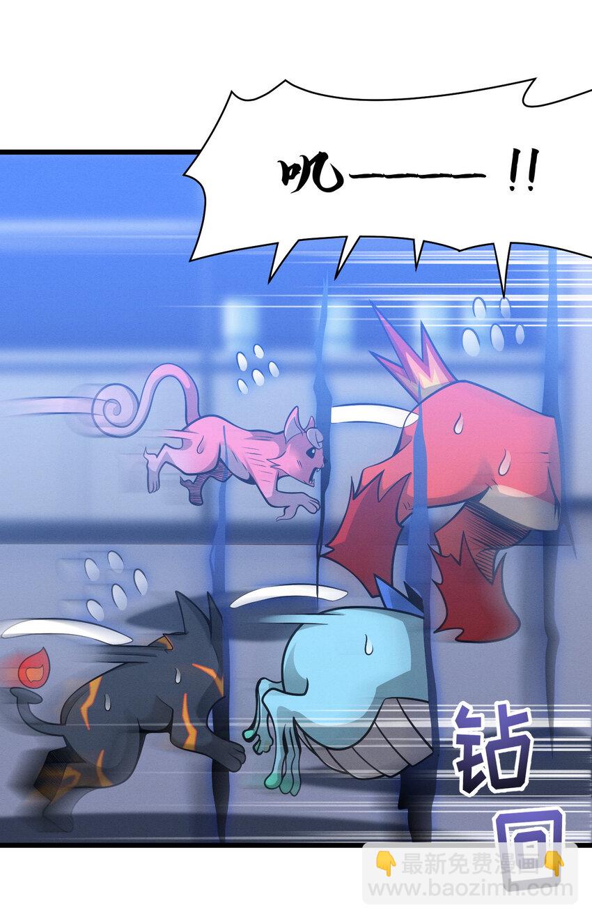 40 龙兽之间，亦有差距-第41话