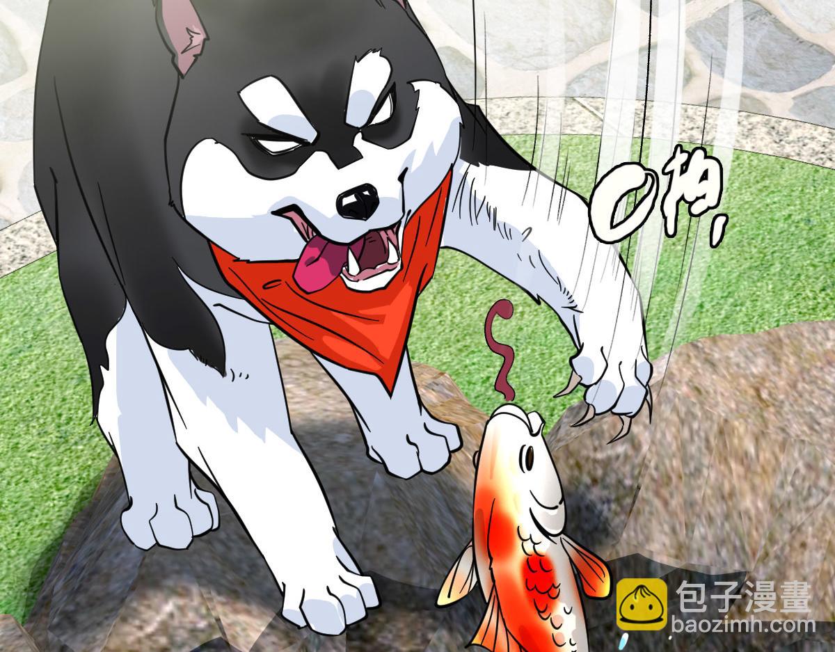 第92话 收获满满(1/3)-第93话