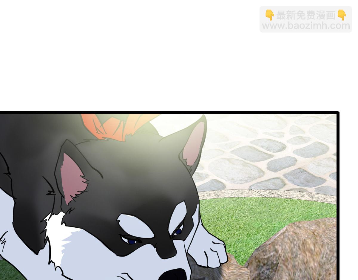 第92话 收获满满(1/3)-第93话