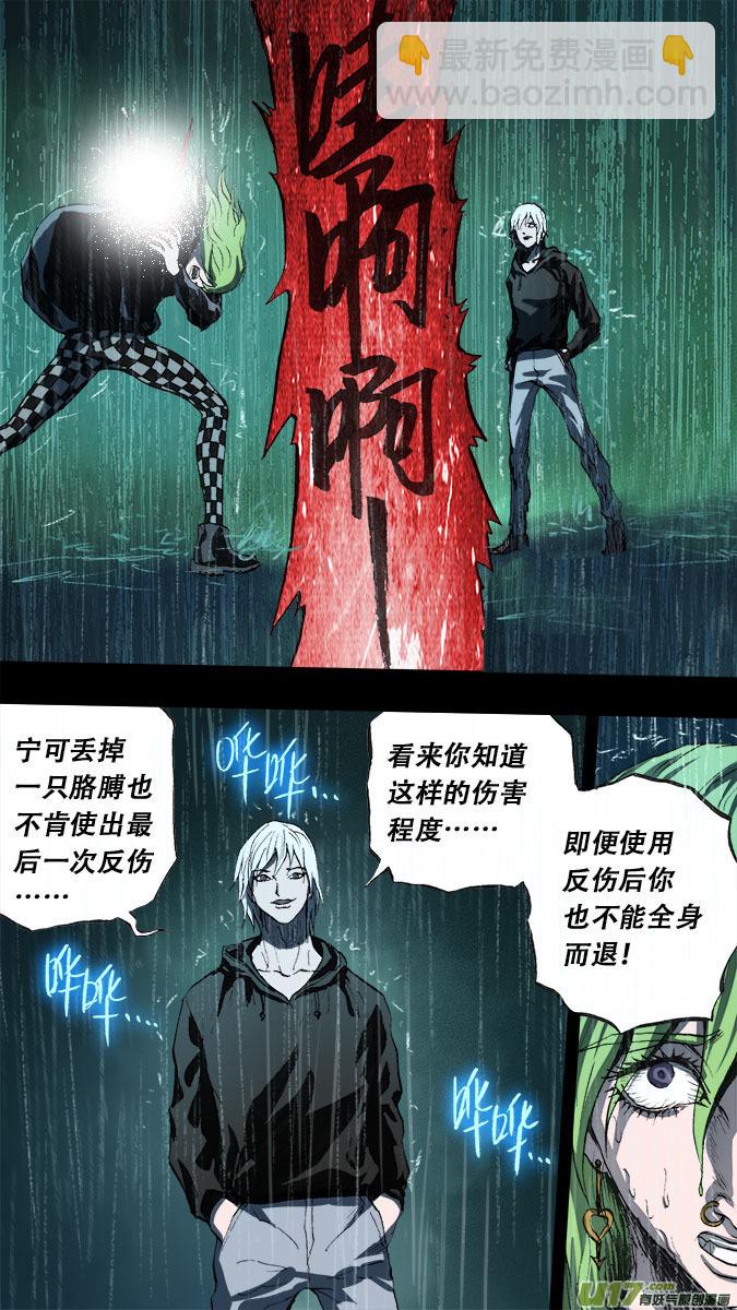 篇外篇：重生之翼（5）-第197话