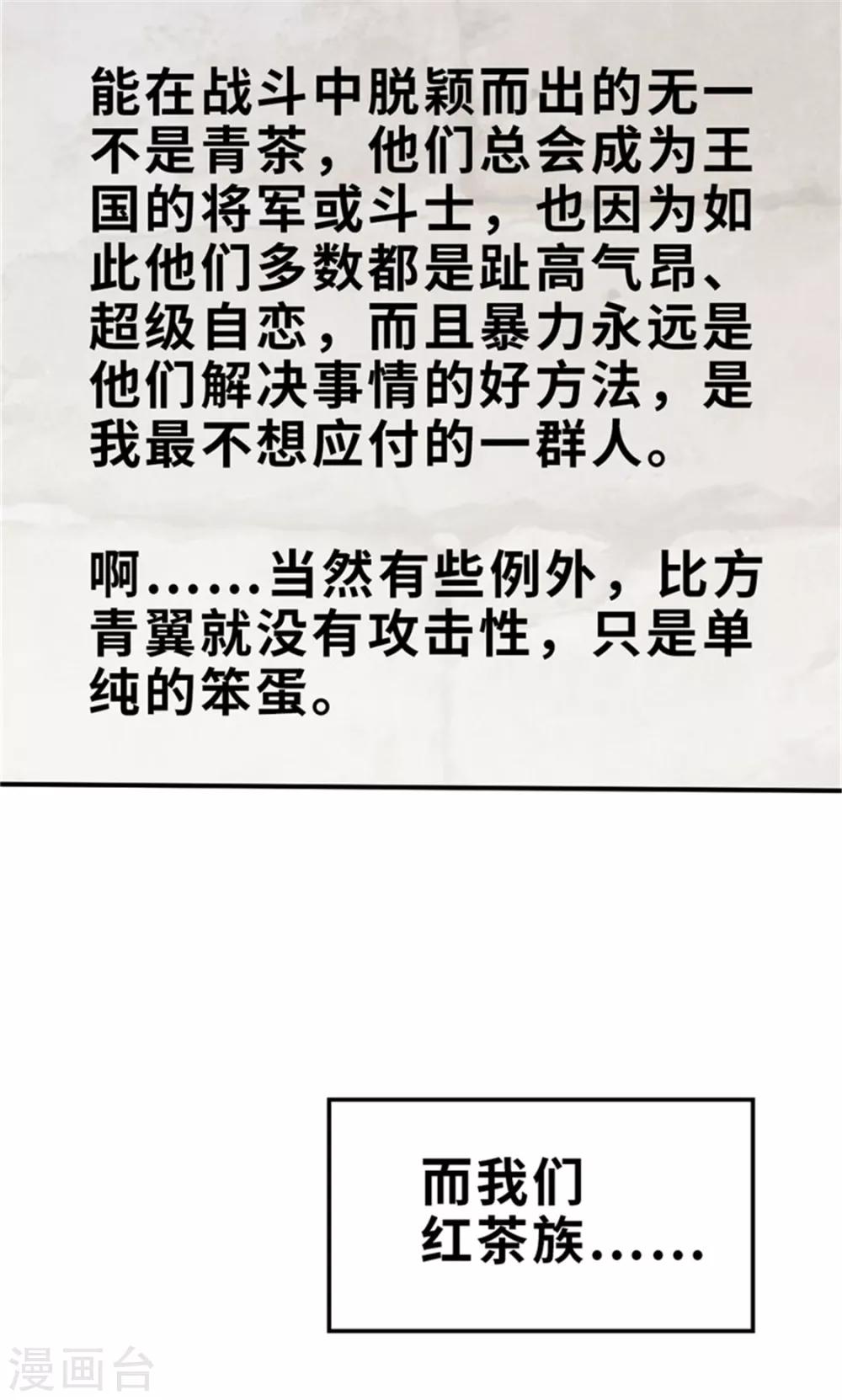 第33话 粉丝激战2-第33话
