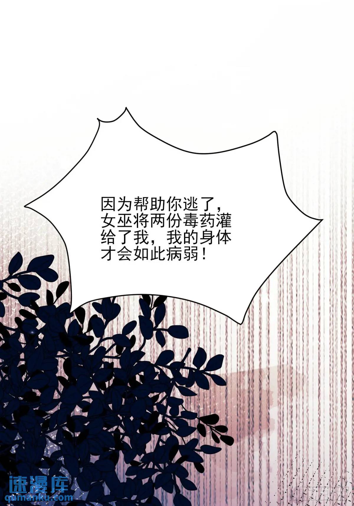 第45话：逗逗小猫咪(1/2)-第45话