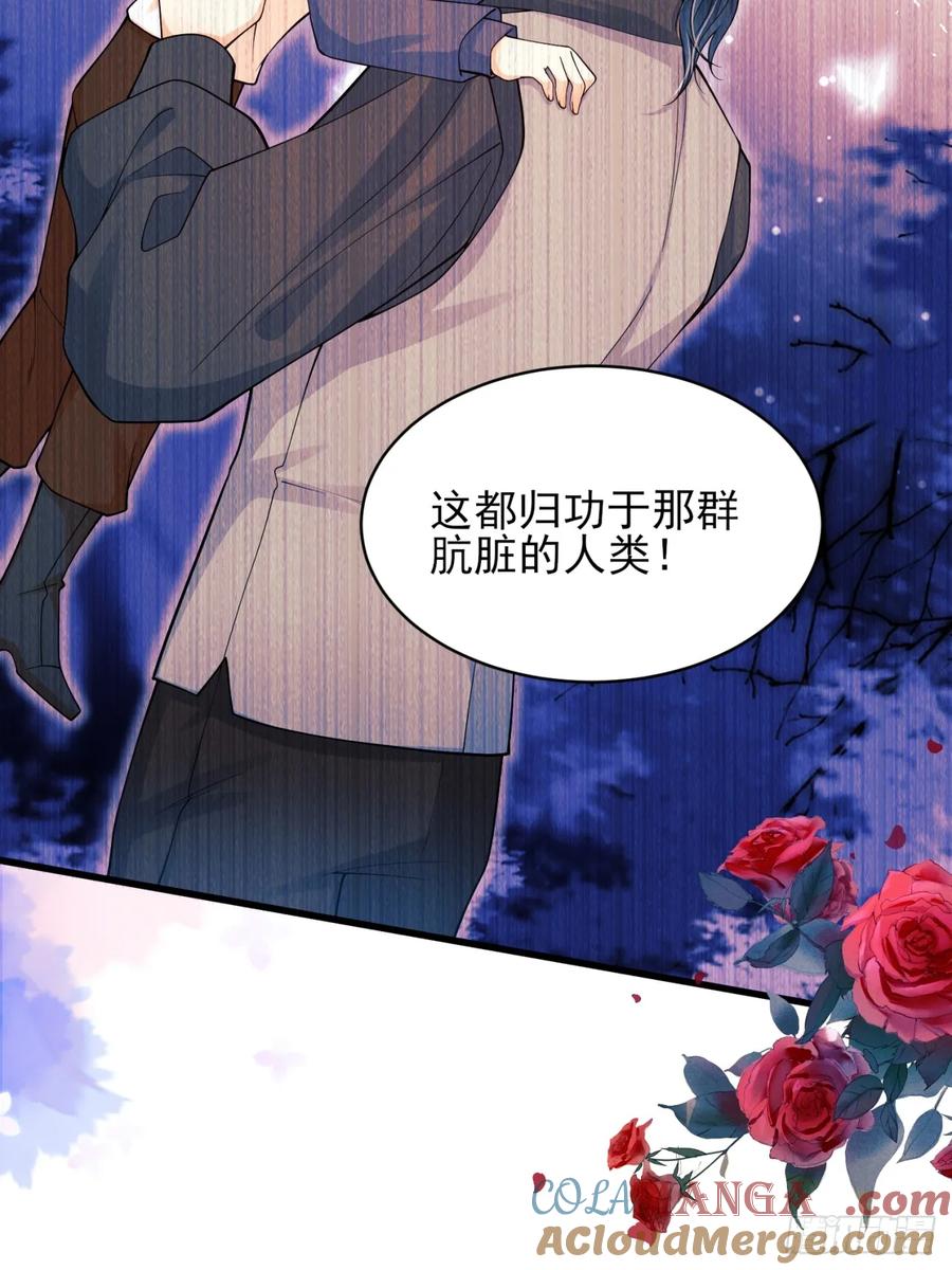 第76话：玫瑰海-第77话