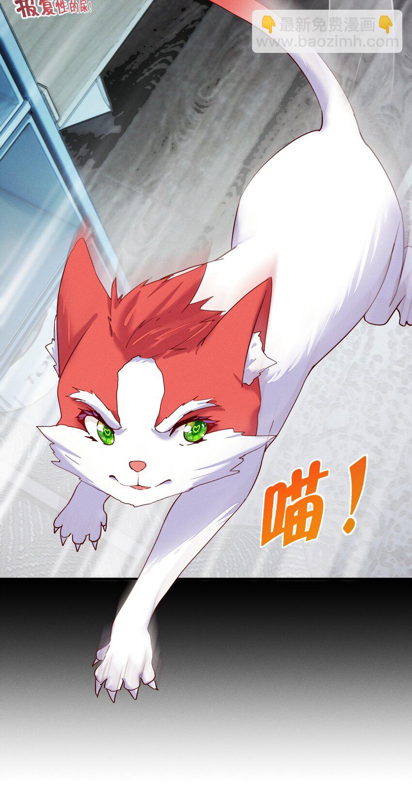 001 被妹子们包围？！(1/2)-第1话