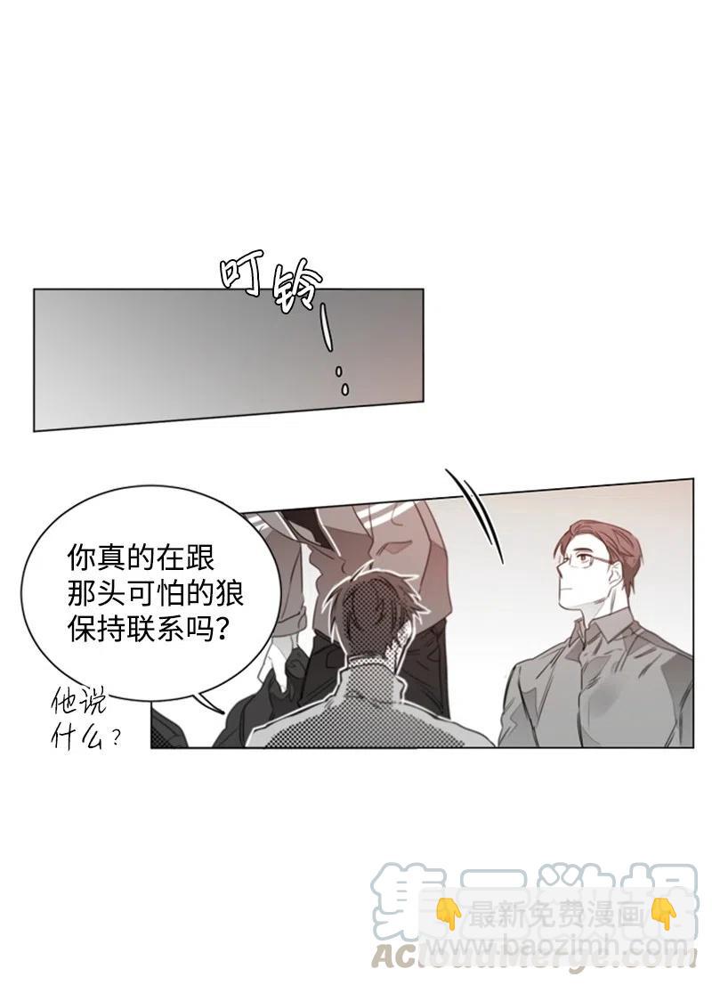 15 狐狸和狼-第15话