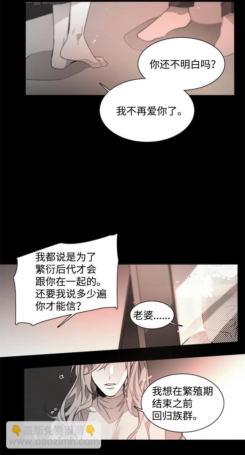 17 新的家人-第17话