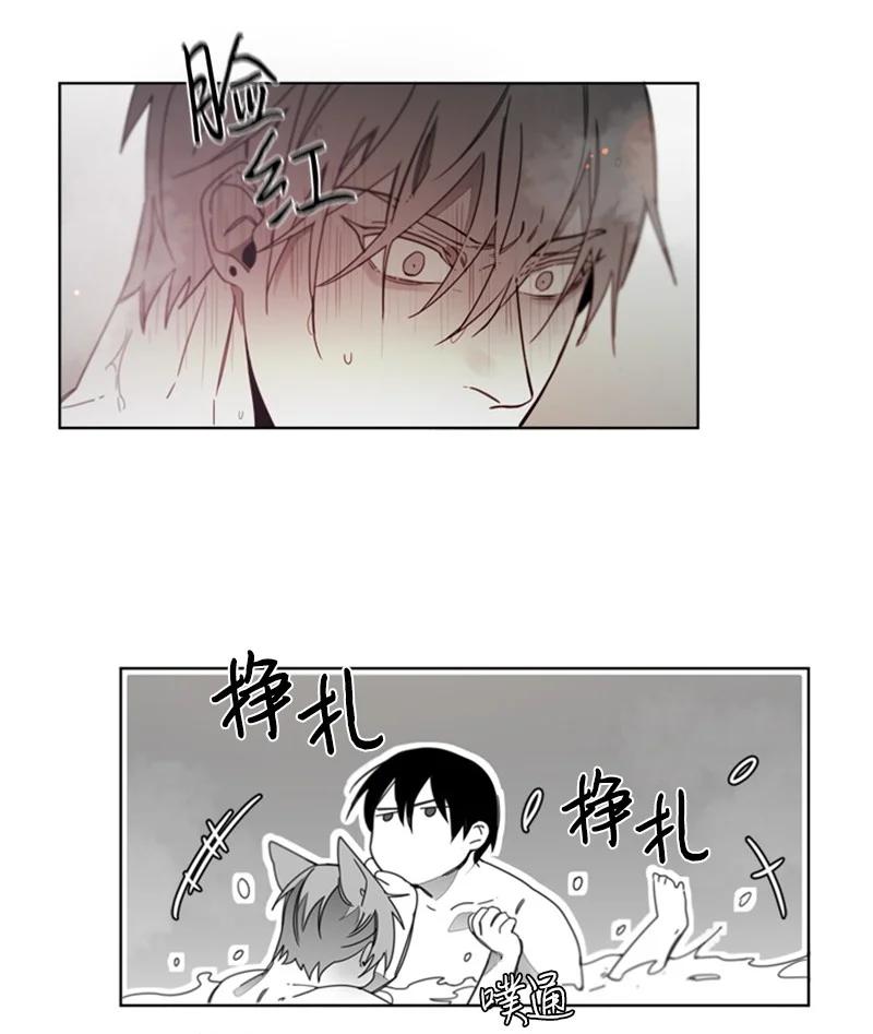 31 狼的忠诚-第31话