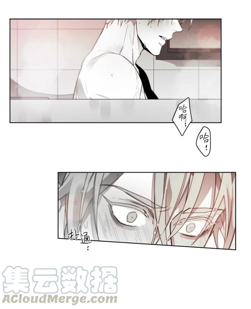 31 狼的忠诚-第31话