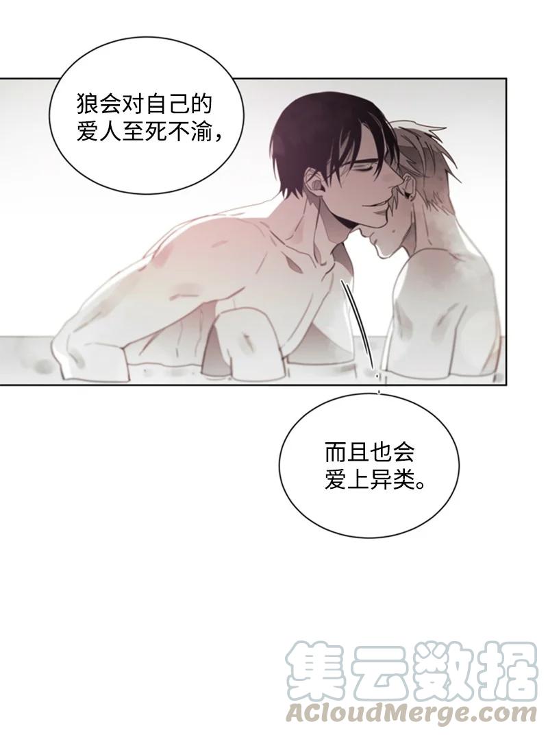 31 狼的忠诚-第31话