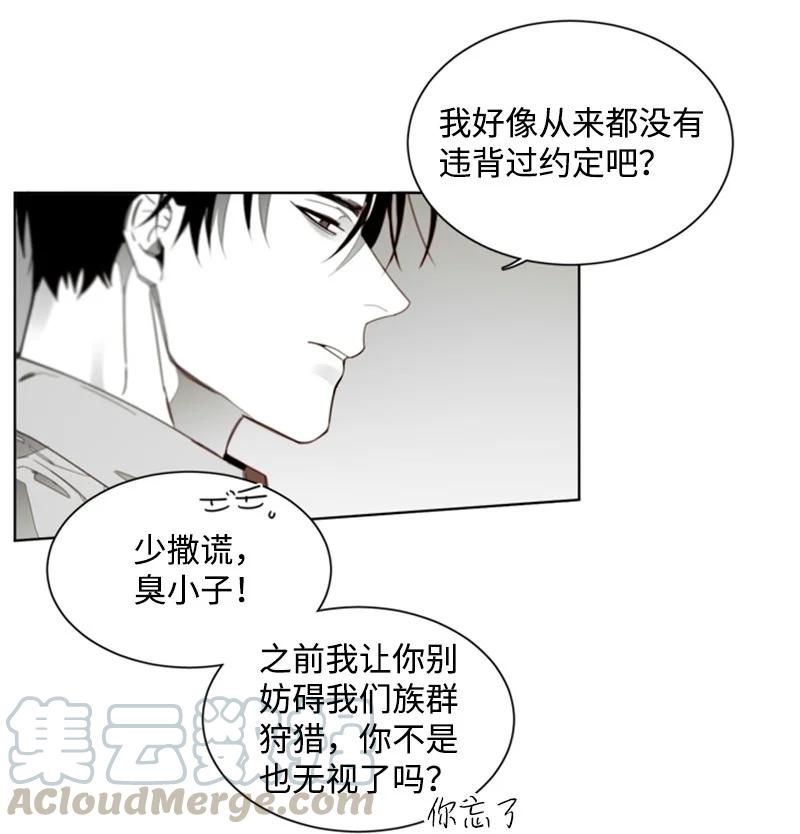 35 只为偶遇你-第35话