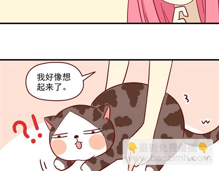 🍶离别的岛，重逢的岛 第23话：错误的相遇 第11页