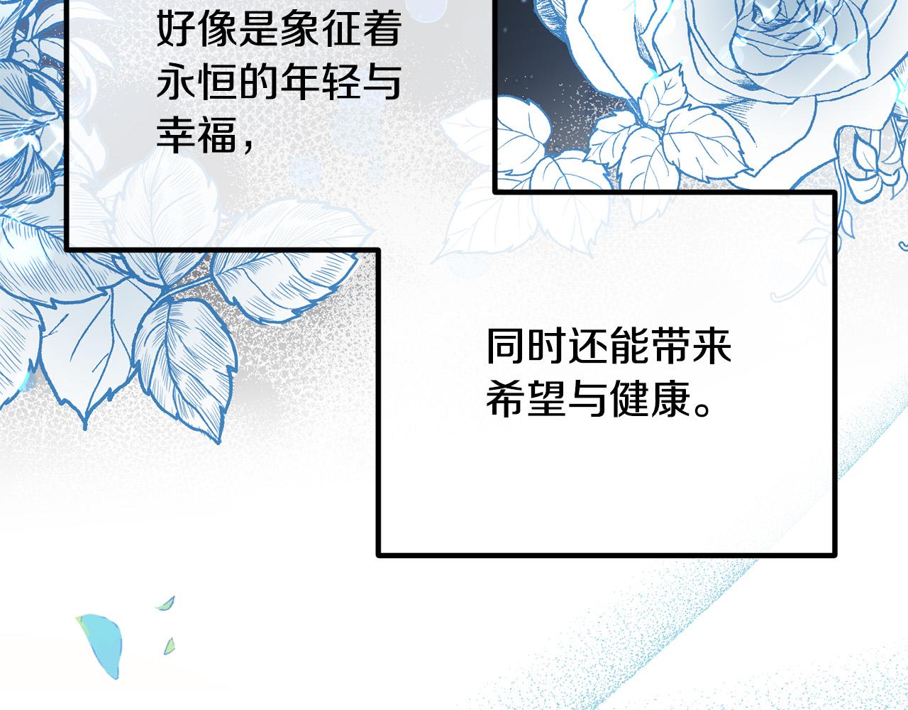 第49话 皇子的礼物(1/4)-第49话