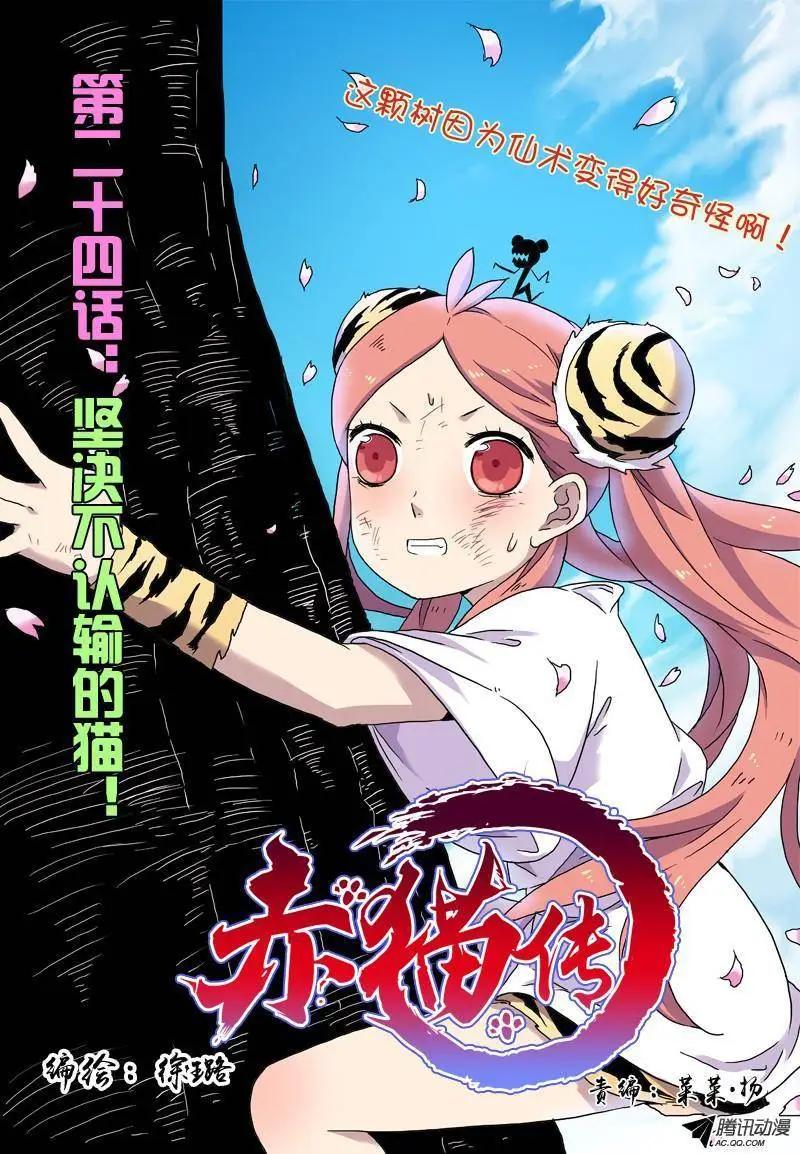 第24回 坚决不认输的猫！-第25话