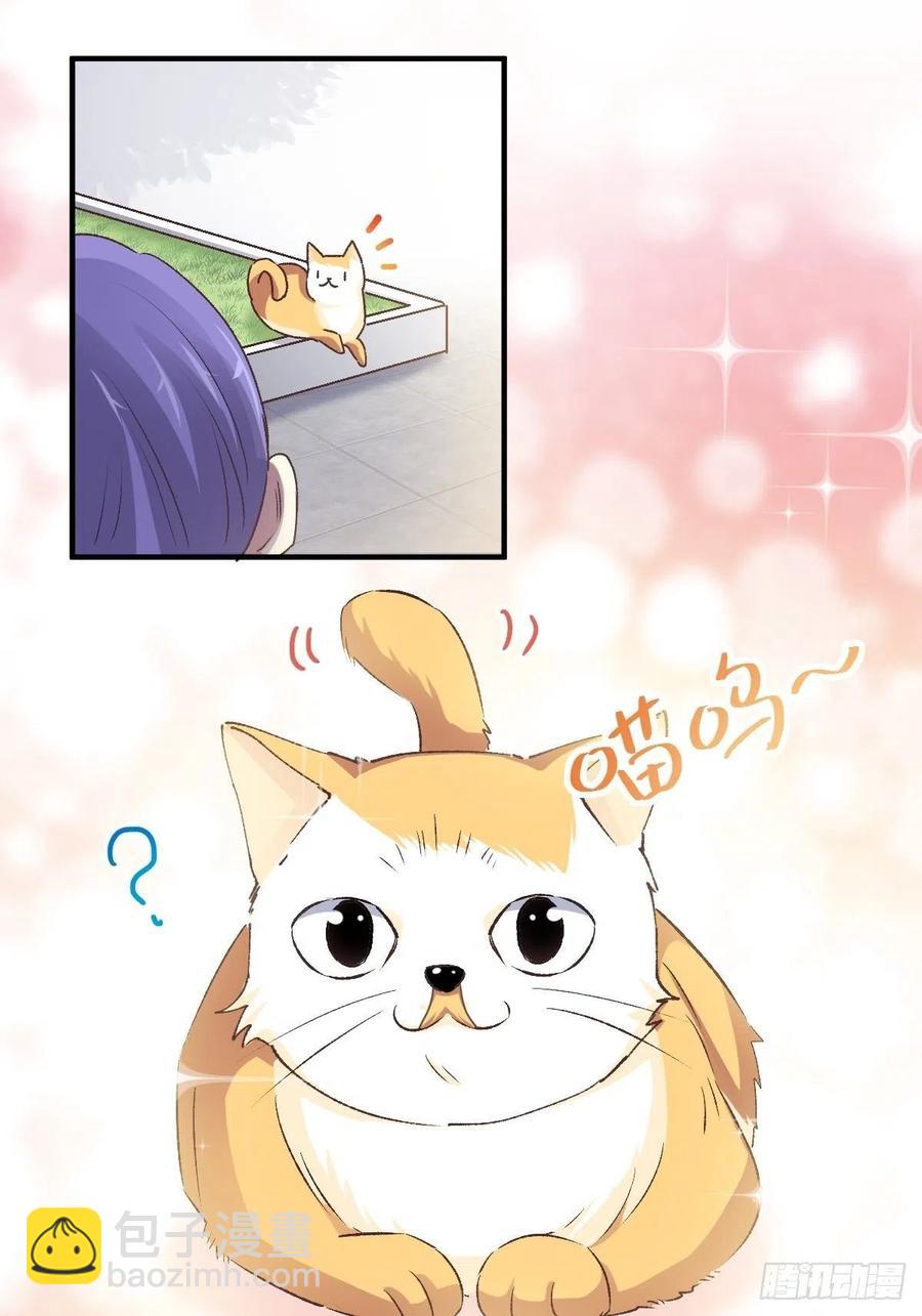 106 野猫杀手（1）-第117话