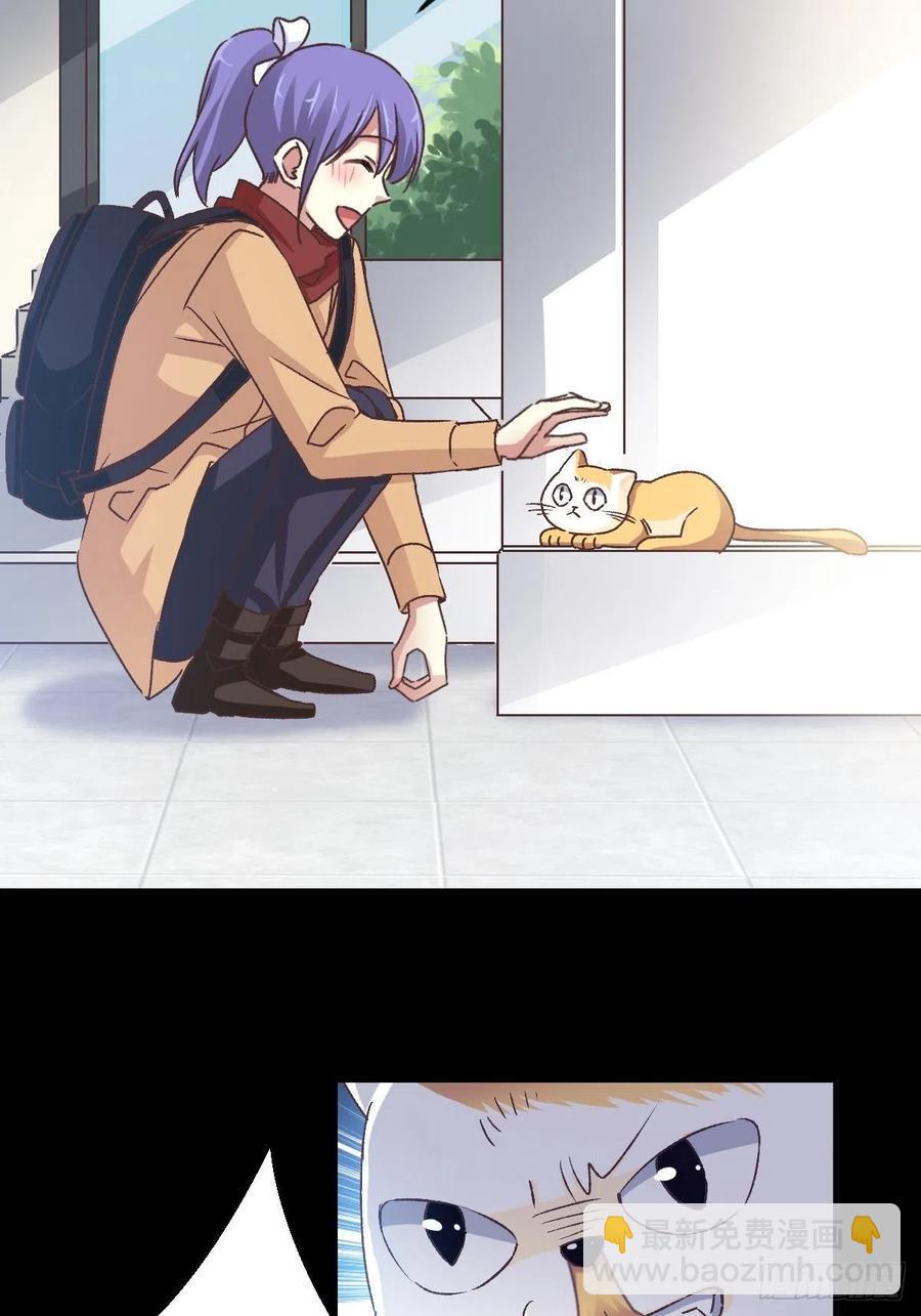 106 野猫杀手（1）-第117话