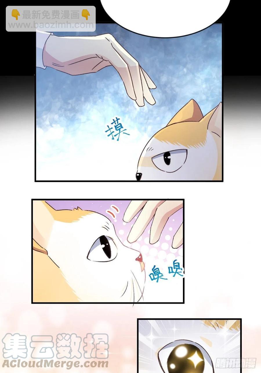 106 野猫杀手（1）-第117话