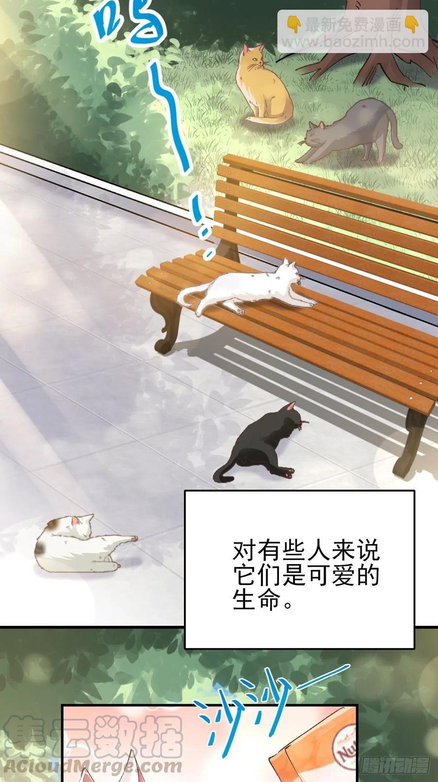 106 野猫杀手（1）-第117话