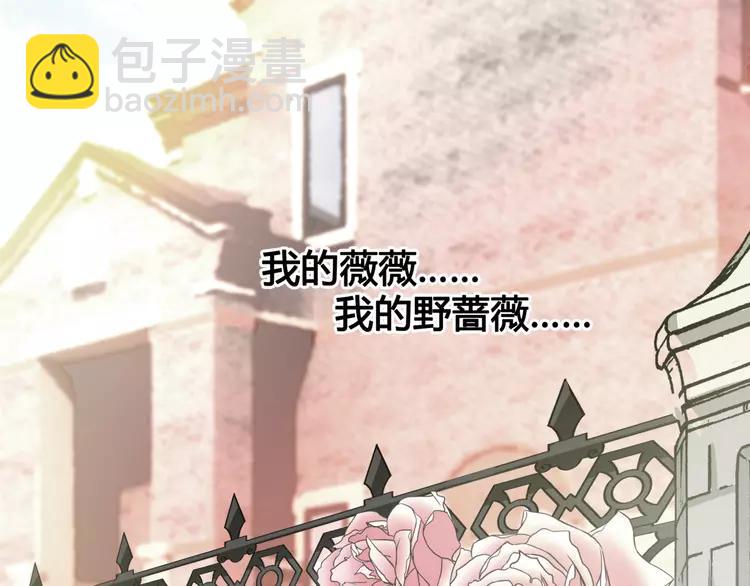 035 野蔷薇物语（上）(1/2)-第37话