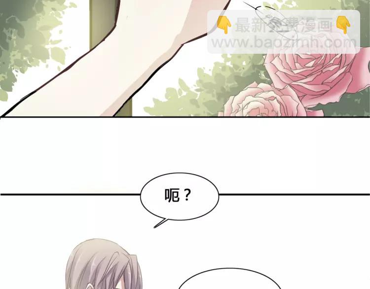 035 野蔷薇物语（上）(1/2)-第37话