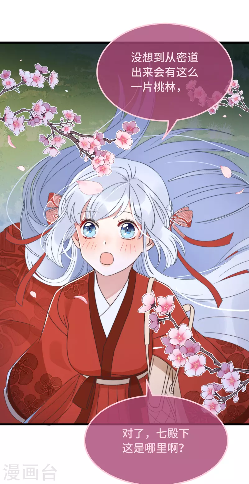 第15话 墓前表心意？-第17话