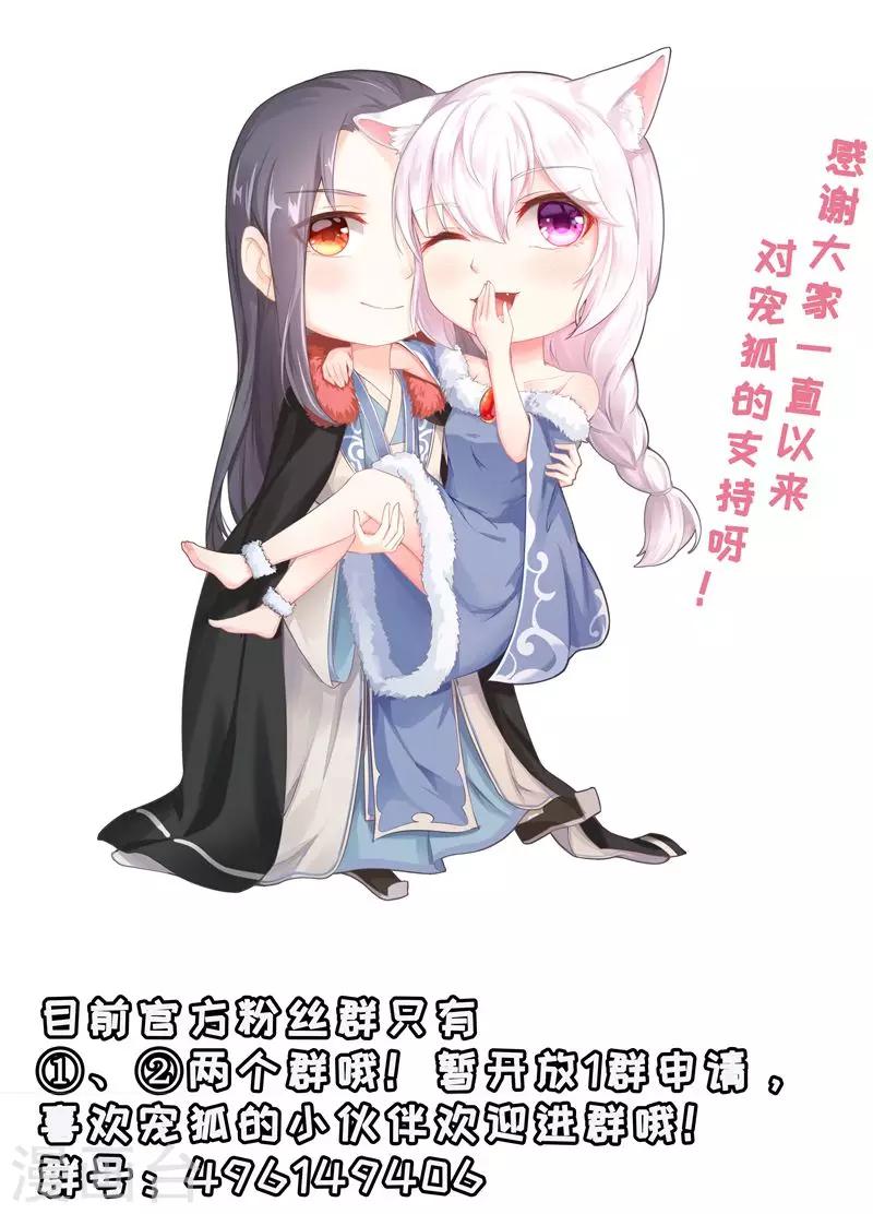 第177话 熊VS狐狸-第177话