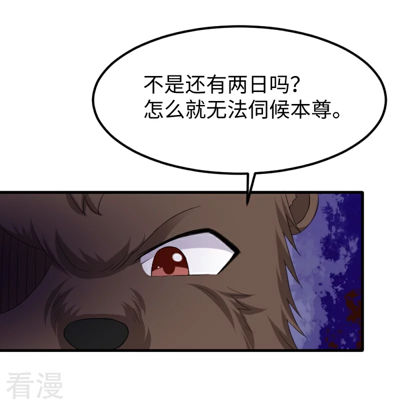 第348话 被熊绑架了-第349话