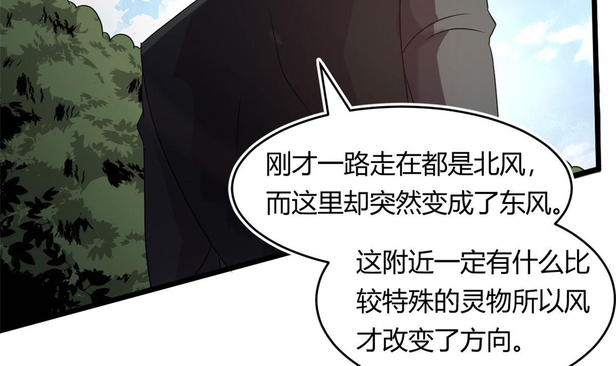 65 断林的宝藏(1/2)-第65话