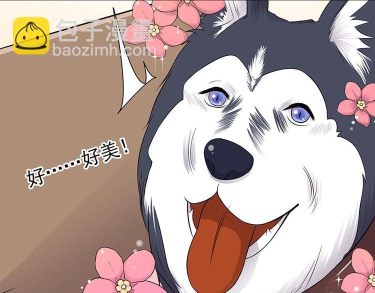 第14话：遇见你也是我的幸运(1/3)-第15话