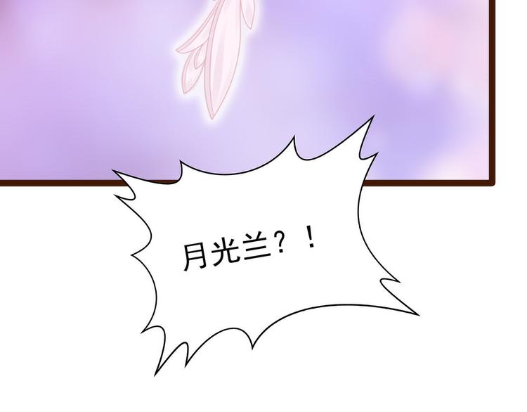 第126话：这是月光兰？！(1/2)-第125话