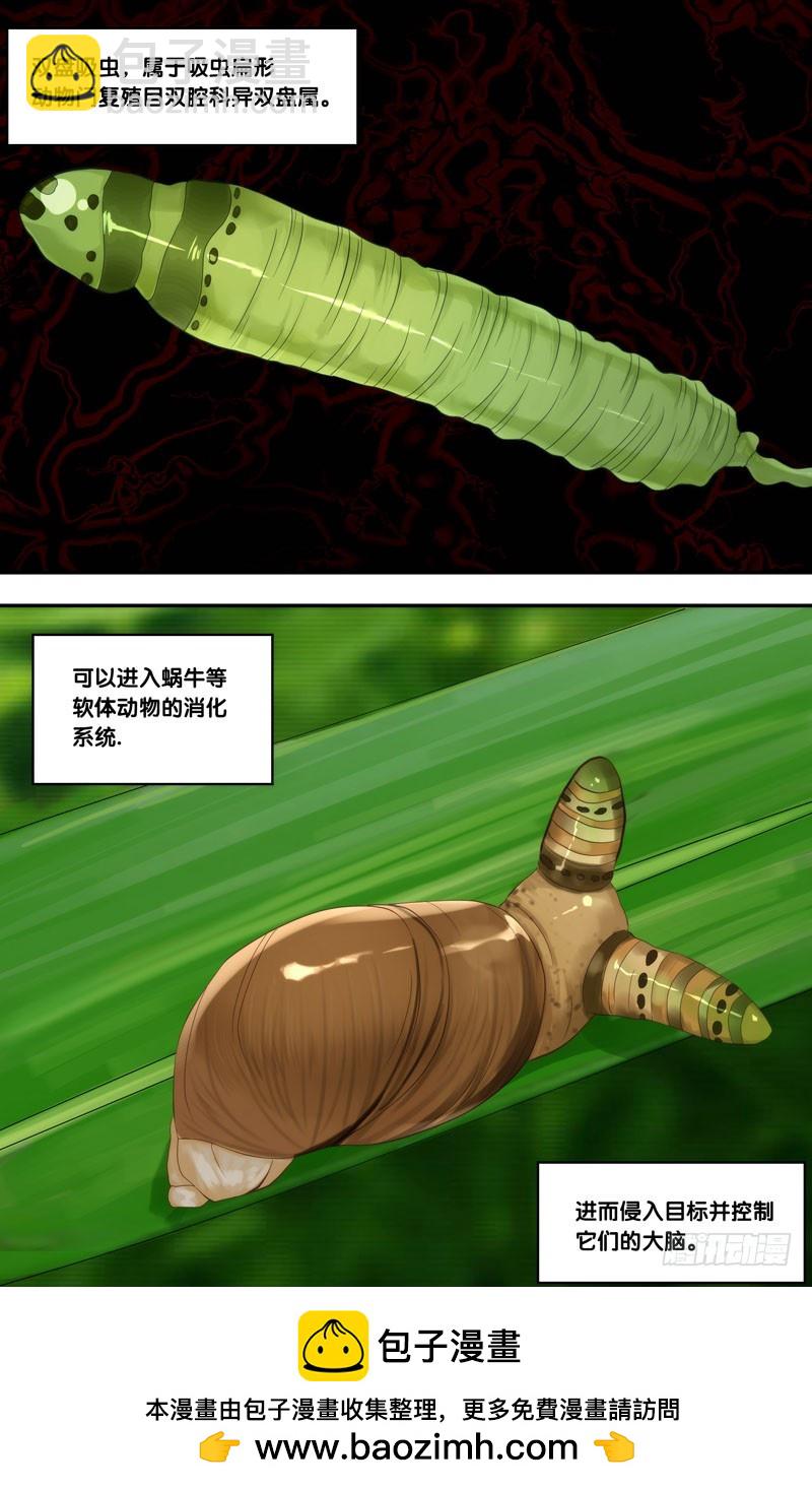 🍶虫生 142.异变 第13页