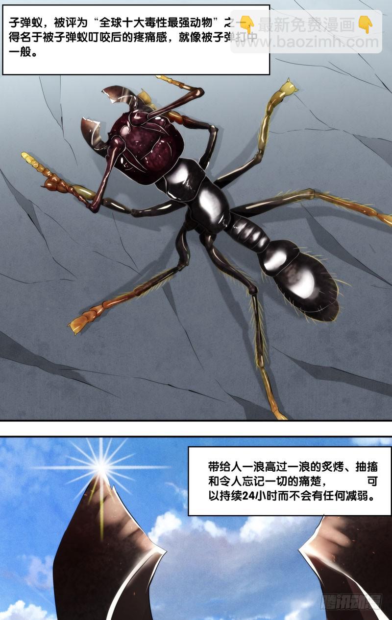 🍶虫生 170.独角仙 第8页